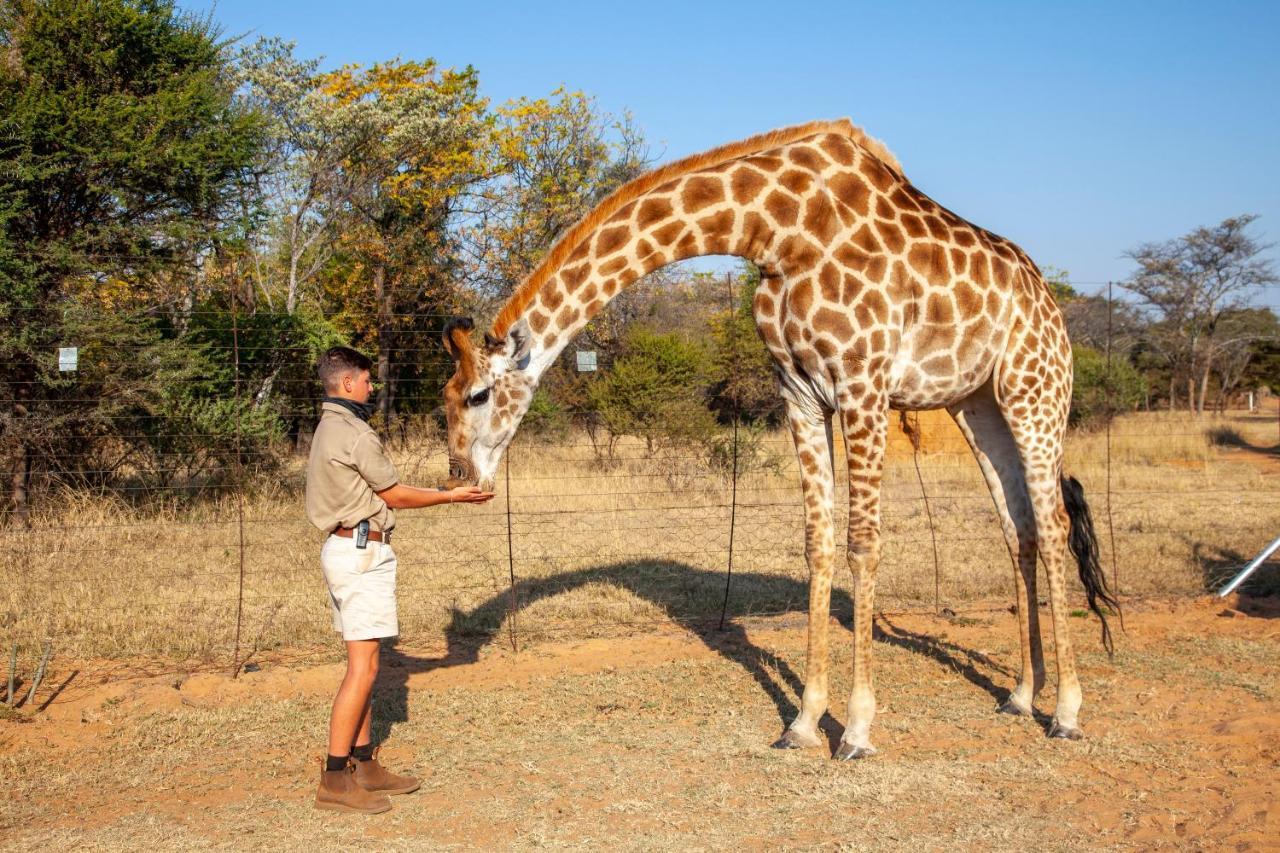 Sondela Nature Reserve & Spa Chalets Bela-Bela Luaran gambar